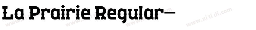 La Prairie Regular字体转换